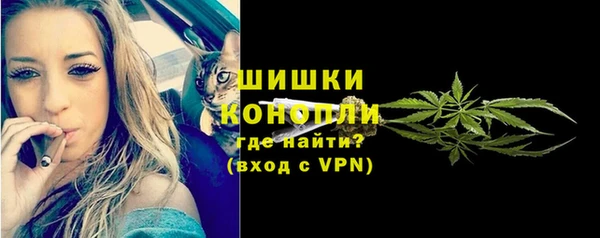 дживик Бородино