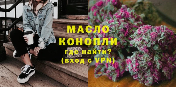 дживик Бородино